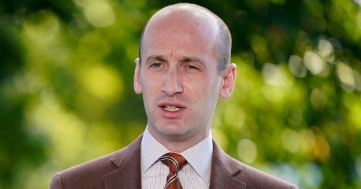 Stephen Miller Net Worth